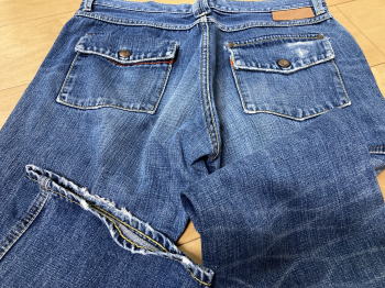 �����񍐎ʐ^